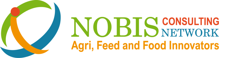 Nobis Consulting Network Logo